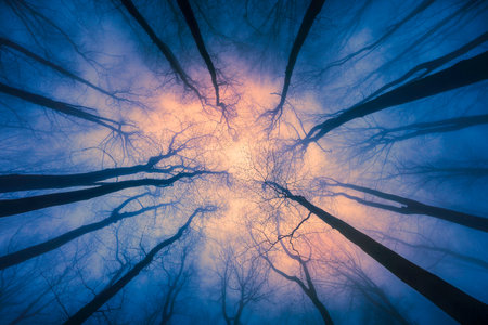 A surreal view of tree silhouettes dissolving into blue mist illuminated by warm golden light. The photograph blends mystery, serenity, and the dreamlike magic of the woods.の写真素材