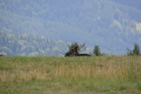 This is a view of Beside Sadecki Mountains.