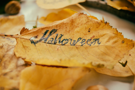 Autumn leafs, Halloween writing on leafの写真素材