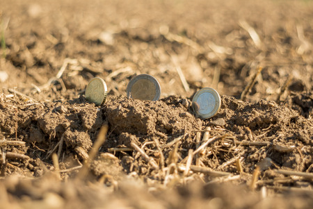 Metaphor, Money coins on fresh crop landの写真素材