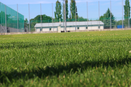 Soccer field lawn low angleの写真素材