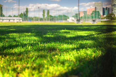 Soccer field lawn low angleの写真素材