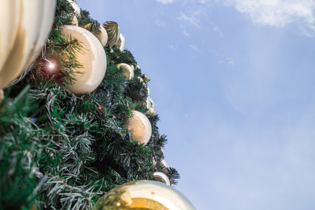 Christmas tree in the City , low angle up view to the sky, editedの写真素材