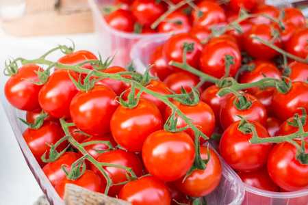 Cherry Tomatoes on market standの写真素材