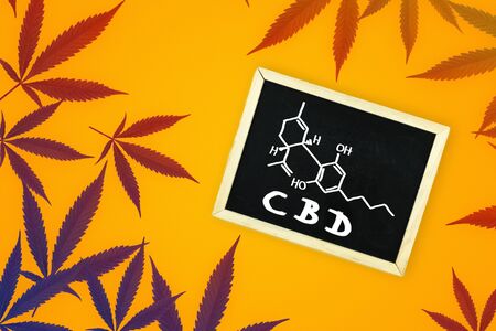 Toned cannabis sativa leafs forming a frame with blackboard and written CBD chemical structure on orange backgroundの写真素材