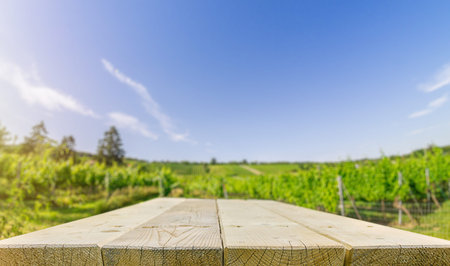 Wooden flat Tabletop against vineyard hill in late summer, advertisement concept