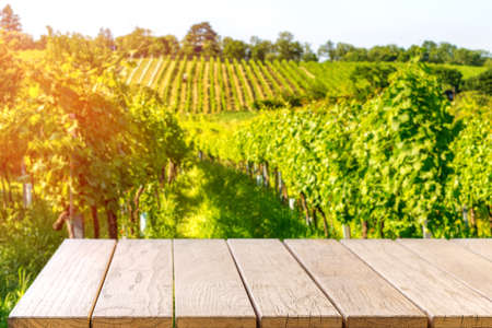Table top with a Blackboard template against vineyard, advert conceptの写真素材