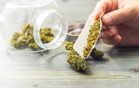 Joint essentials on wooden table flower buds paper filter grinder, medical or recreational marijuana...