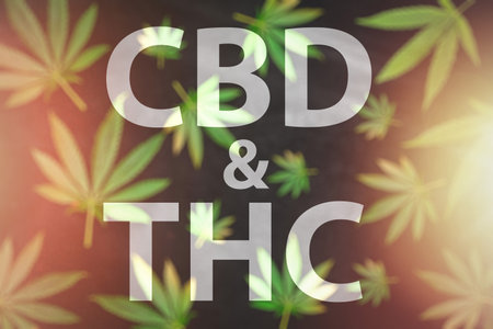 CBD & THC letters written against pattern of Cannabis leaves on black backgroundの写真素材