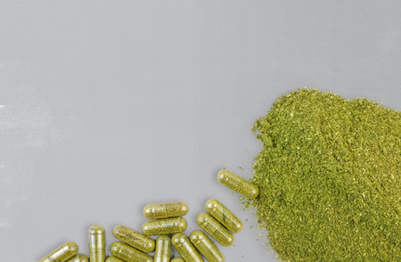 Coarse grind Mitragynina speciosa or Kratom powder and Kratom pills on grayの写真素材