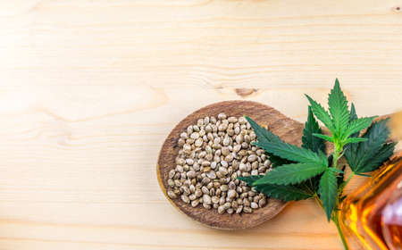 Cannabis seeds in wooden spoon oil and hemp leafs rich in protein and healthy fatsの写真素材