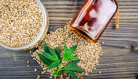 Cannabis seeds in glass bowl on dark table and oil rich in protein and healthy fatsの写真素材