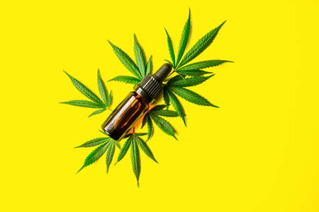 CBD Cannabidiol bottles and Cannabis leafs on yellow background, alternative medicine conceptの写真素材