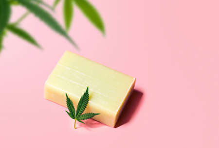 CBD Cannabidiol infused soap on pink background, concept of the use of Hemp in skin personal hygiene productsの写真素材