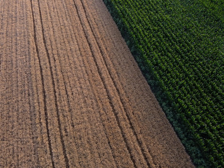 Wheat and corn grain field arable land drone shotの写真素材