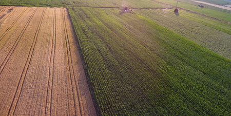 Wheat and corn grain field arable land drone shotの写真素材