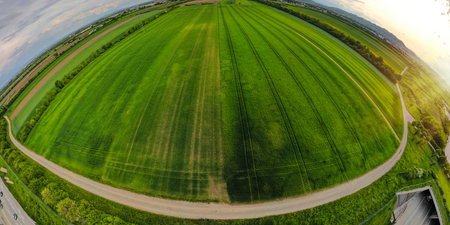 Fish eye Aerial shot from a drone of young green wheat in Spring