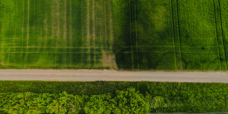 Aerial shot from a drone of young green wheat in Springの写真素材