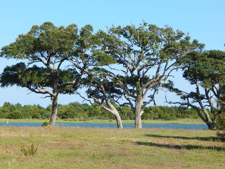 landscapeの写真素材