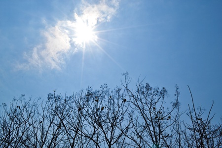 bright skyの写真素材