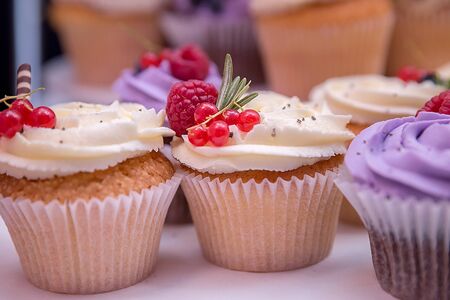 Red currant and raspberry on a holiday cupcake with white cream. Several different delicious cupcakes.の写真素材