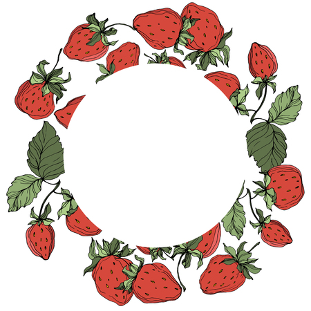 Vector Strawberry fruits. Green leaf. Red and green engraved ink art. Frame border ornament square.のイラスト素材