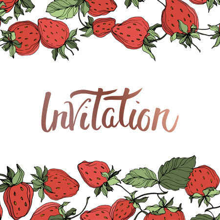 Vector Strawberry fruits. Green leaf. Leaf plant botanical garden floral foliage. Red and green engraved ink art. Frame border ornament square.のイラスト素材
