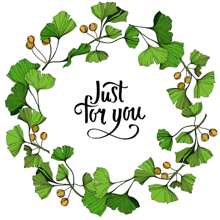 Vector Ginkgo green leaf. Plant botanical garden floral foliage. Engraved ink art. Frame border ornament square on white background.のイラスト素材