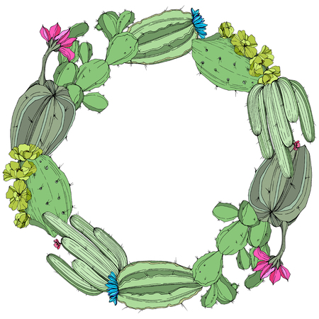 Vector Green cactus floral botanical flower. Wild spring leaf wildflower isolated. Engraved ink art. Frame border ornament square.のイラスト素材