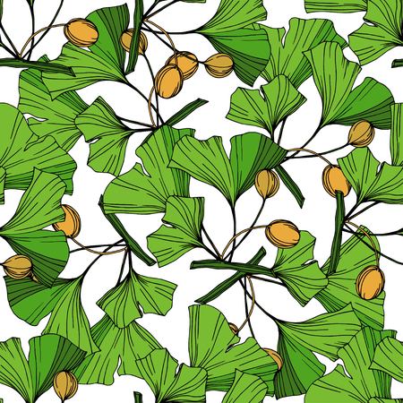 Vector Green ginkgo leaf. Plant botanical garden floral foliage. Engraved ink art. Seamless background pattern. Fabric wallpaper print texture.のイラスト素材