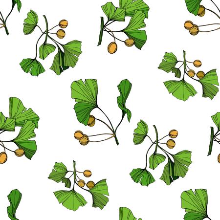 Vector Green ginkgo leaf. Plant botanical garden floral foliage. Engraved ink art. Seamless background pattern. Fabric wallpaper print texture.のイラスト素材