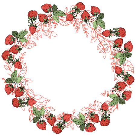 Vector Strawberry fruits. Green leaf. Leaf plant botanical garden floral foliage. Red and green engraved ink art. Frame border ornament square.のイラスト素材