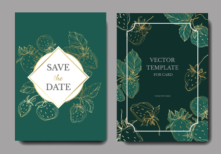 Vector Strawberry fruits. Leaf plant botanical garden floral foliage. Engraved ink art. Wedding background card floral decorative border. Invitation elegant card illustration graphic set banner.のイラスト素材