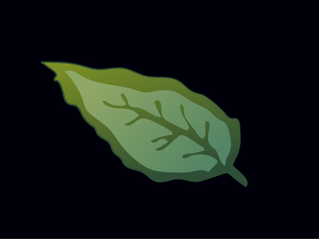 Vector Rose Green leaf floral botanical flower. Wild spring leaf wildflower isolated. Green engraved ink art. Isolated rose illustration element on black background.のイラスト素材