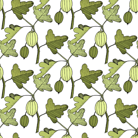 Vector Gooseberry black and white engraved ink art. Seamless background pattern. Fabric wallpaper print texture. Green leaf. Leaf plant botanical garden floral foliage.のイラスト素材