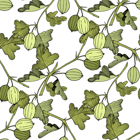 Vector Gooseberry black and white engraved ink art. Seamless background pattern. Fabric wallpaper print texture. Green leaf. Leaf plant botanical garden floral foliage.のイラスト素材