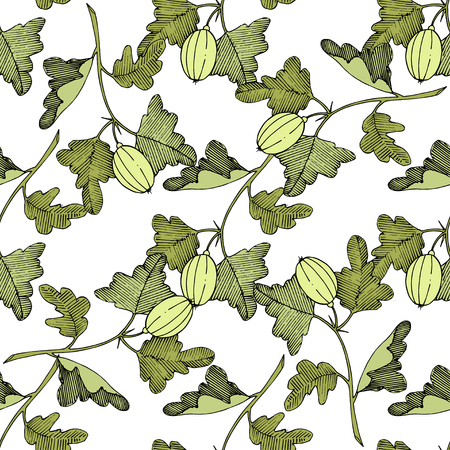 Vector Gooseberry black and white engraved ink art. Seamless background pattern. Fabric wallpaper print texture. Green leaf. Leaf plant botanical garden floral foliage.のイラスト素材
