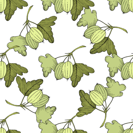 Vector Gooseberry black and white engraved ink art. Seamless background pattern. Fabric wallpaper print texture. Green leaf. Leaf plant botanical garden floral foliage.のイラスト素材