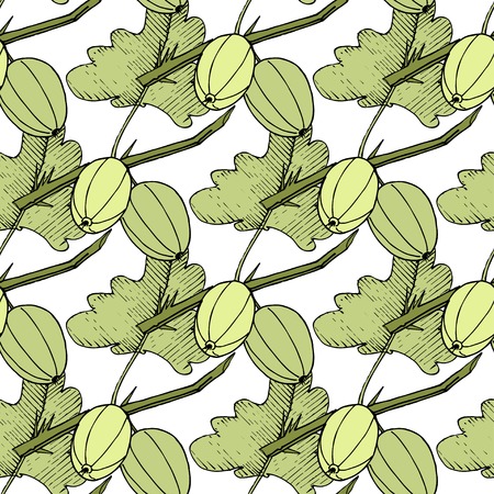 Vector Gooseberry black and white engraved ink art. Seamless background pattern. Fabric wallpaper print texture. Green leaf. Leaf plant botanical garden floral foliage.のイラスト素材