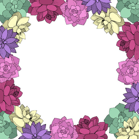 Vector Succulents floral botanical flower. Wild spring leaf wildflower isolated. Engraved ink art on white background. Frame border ornament square.のイラスト素材