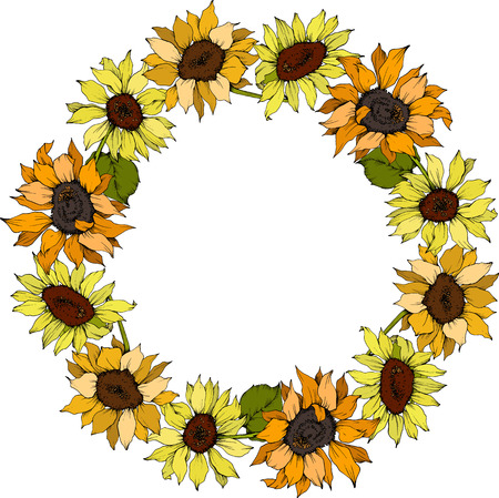 Vector Sunflower floral botanical flowers. Wild spring leaf wildflower isolated. Yellow and green engraved ink art. Frame border ornament square.のイラスト素材