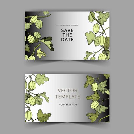 Vector Gooseberry branch. Green leaf. Plant botanical garden floral foliage. Wedding background on silver card floral border. Thank you, rsvp, invitation elegant card illustration graphic set banner.のイラスト素材
