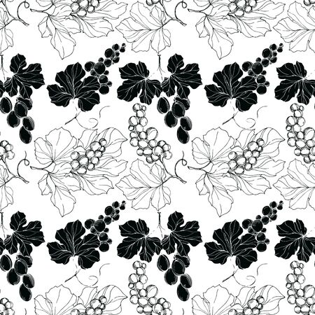 Vector Grape berry healthy food. Black and white engraved ink art. Seamless background pattern.のイラスト素材