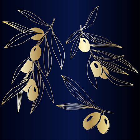 Vector Golden olive branch. Plant botanical foliage. Golden engraved ink art. Isolated olive illustration element.のイラスト素材