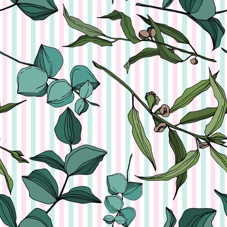 Vector Eucalyptus tree leaves jungle botanical. Black and white engraved ink art. Seamless background pattern.のイラスト素材