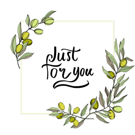 Olive tree in a vector style isolated. Green engraved ink art.のイラスト素材