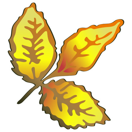 Vector autumn yellow rose hip leaves. Isolated illustration element.のイラスト素材