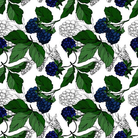 Vector Blackberry healthy food. Black and white engraved ink art. Seamless background pattern.のイラスト素材