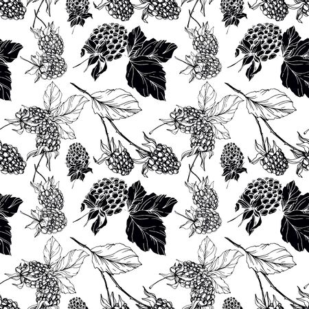 Blackberry healthy food. Black and white engraved ink art. Seamless background pattern. Fabric wallpaper print texture.のイラスト素材