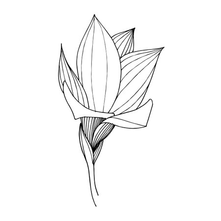 フリージアの写真 イラスト素材一覧 13 666件 ストックフォトのamanaimages Plus